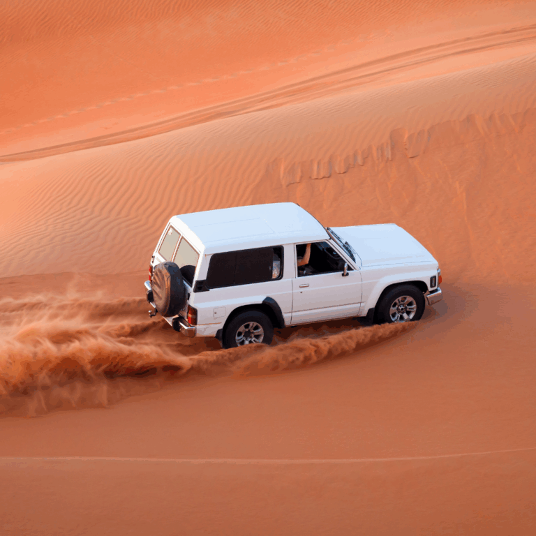 Import von Fahrzeugen 8